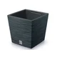 Prosperplast Prevleka za cvetlični lonec FURU SQUARE LOW 2v1 plastika 24x24x24cm, antracit
