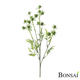 Jagode veja zelena 45 cm - zelena - 25 do 50 cm