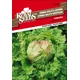 SEME ROYAL SEEDS 89 Solata Posavka