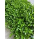 Zeleni zid 3D Wild, 40x60 cm