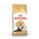 Royal Canin Persian Adult - 2 kg