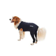 Zaščitna obleka Body&Back Legs 81cm XXL BUSTER