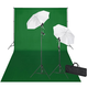 VIDAXL Studio Kit: zeleno ozadje 600x300 in luči