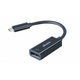 Akasa adapter iz USB-C na DisplayPort 4K (AK-CBCA05-15BK)