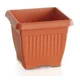 OKRASNI LONEC TERRA TERRACOTTA 37x37cm
