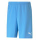 Puma Hlače obutev za trening modra 176 - 181 cm/M Teamrise Short Team