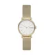 Skagen Signature Slim SKW2693