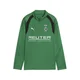 PUMA Borussia Mönchengladbach Quarter-Zip Training Top Youth, Sports, Archive Green/White, 15-16Y