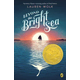 Beyond the Bright Sea