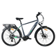 MS ENERGY Električni bicikl eBike c101 antracit