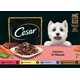 Cesar Multipack 12x100g vrečke - Selection in Sauce - 1.200 g