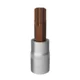 shumee 1/4 TORX T40 nastavek