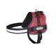 NOBBY Am za pse Seguro 25mm x 45-60cm, Crveni