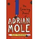 Growing Pains of Adrian Mole