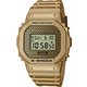 CASIO DWE-5600HG-1ER