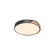 Paul Neuhaus 6071-18-LED Prigušiva svetiljka Q-PIATO LED/35W/230V 2700-5000K+daljinski upravljač