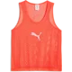 Puma Dres za trening teamADDITIONS