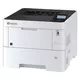 Kyocera - Tiskalnik Kyocera ECOSYS P3155DN