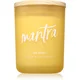 DW Home Zen Mantra dišeča sveča 428 g