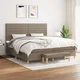 vidaXL vidaXL Box spring postelja z vzmetnico taupe 200x200 cm blago, (20893692)
