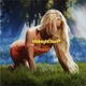 Zara Larson - Midnight Sun (Transparent Coloured) (LP)