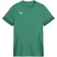 Puma Dres teamGOAL Matchday Jersey jr