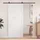 Vrata staje Bijela 100 x 2,5 x 208 cm Masivna borovina