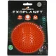 Dog Comets Exoplanet - Orange - L