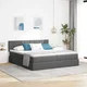 vidaXL vidaXL Postelja s shranjevanjem Temno siva 180 x 200 cm Umjetno usnje, (5000100750)