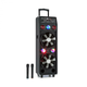 Auna DisGo Box 2100, PA sistem, 100 W RMS, BT, SD, LED diode, USB, akumulator, črna barva (PAS5-DisGo Box 2100)