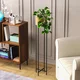 Aberto Design Dekorativna saksija GED-024-A, 23x108x23 cm, O 20 cm,, Crno-zlatna
