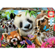Puzzle Živalce Black Eyed Friends Selfie Educa 300-delne puzzle Živalce Selfie Educa