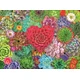 Ravensburger Puzzle Sukulentni raj 500 kosov