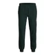 JACK & JONES Hlače JPSTGORDON kremna/rumena/temno zelena