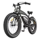 Hidoes Hidoes B3 Retro E-kolo, 1200 W 48 V 18,2 Ah baterija, 26 Fat Bike, (21960192)