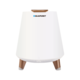 Blaupunkt BT25LAMP Bluetooth zvučnik