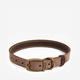 Kožna ogrlica za pse Barbour Leather Dog Collar — Brown - L