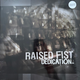 Raised Fist-Dedication -Transpar-