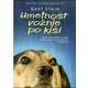 Umetnost vožnje po kiši