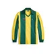 Polo Ralph Lauren Pulover rumena / temno zelena / rdeča / bela