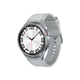 Smart watch Samsung Galaxy Watch 6 SM-R960 Silver