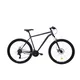 CAPRIOLO MTB OXYGEN 29/21HT dark grey-red 926423-19
