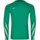 Nike Dres z dolgimi rokavi Dri-FIT Park V Long Sleeve Goalkeeper