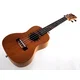 Kokio concert ukulele mahogany w/bag