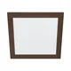 Eglo 99474 - LED plafonsko svetlo PIGLIONASSO LED/20W/230V 500x500 mm