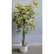 Lilium javor zeleni 140cm AA019