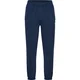 Hummel Hlače hmlPULSE SWEAT PANTS
