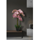 Umetna orhideja roza 100cm Grace Real touch - roza - 76 do 100 cm - 51 do 70 cm