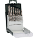 Bosch 19-delni set HSS-G burgija za metal (2609255132)