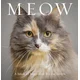 Meow
